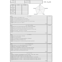 5S Audit Form - Type 2