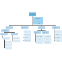 Chain Of Command Organizational Chart Template