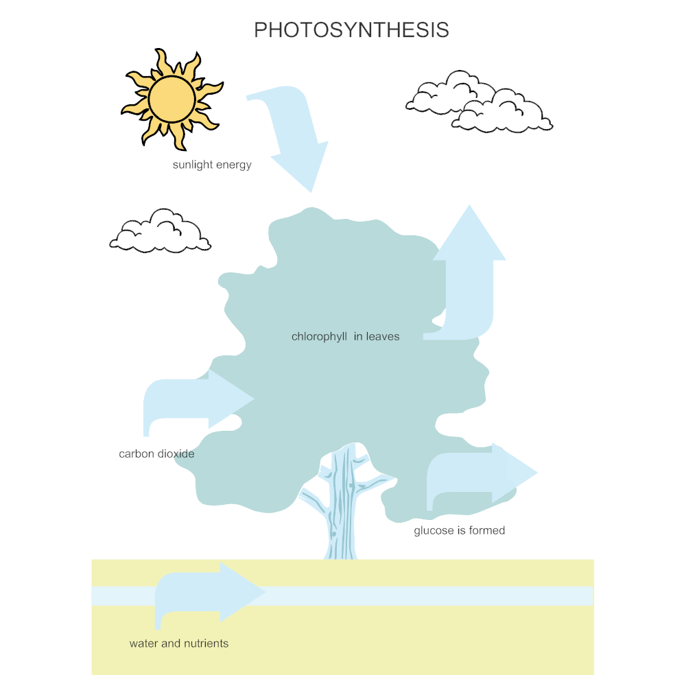 Photosynethesis diagram