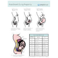 OB-GYN Examples