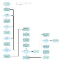 software triage flowchart Process Examples Medical Flowchart