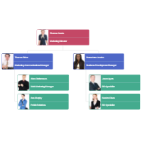 Organizational Chart Examples