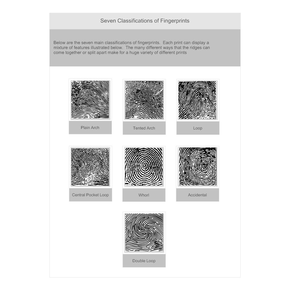 Example Image: Fingerprint Classifications