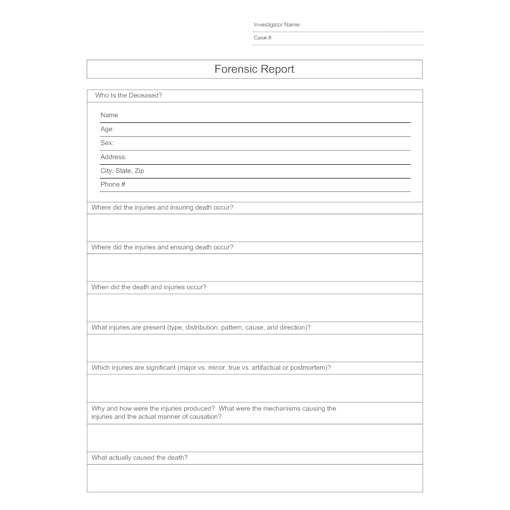 forensic report template - Bicim Inside Forensic Accounting Report Template
