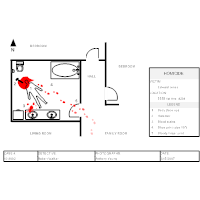 Crime Scene Examples