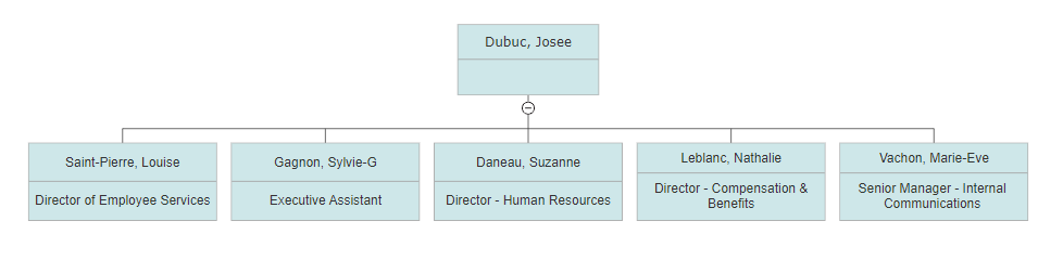 Org chart two rows of data