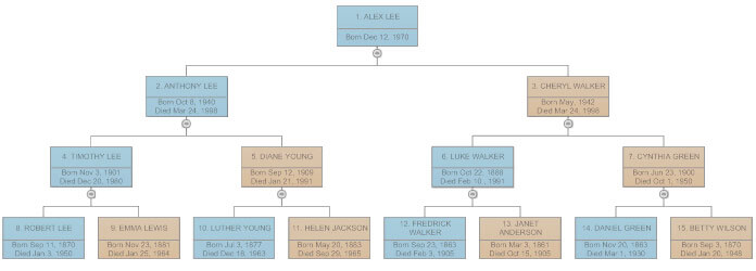 Family Tree - Everything You Need to Know to Make Family Trees