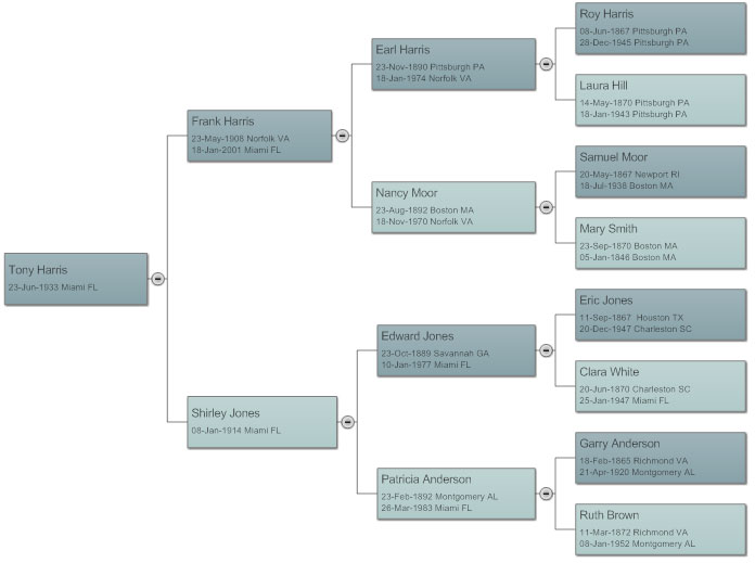 Family Tree - Best Practices for Creating a Family Tree Diagram