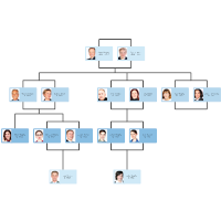 How Do You Draw A Family Tree Chart