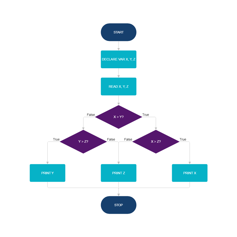 Example Image: Programming Flowchart