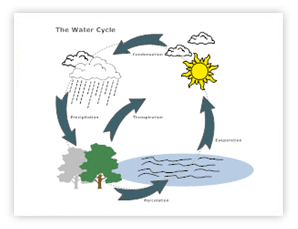 Water cycle flowchart