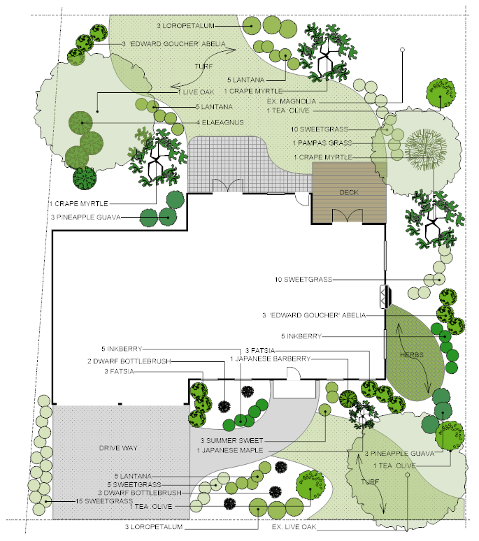 Garden Design and Layout