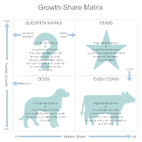 Growth-Share Matrix Guidelines