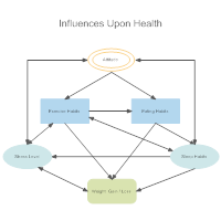Health Influence Diagram