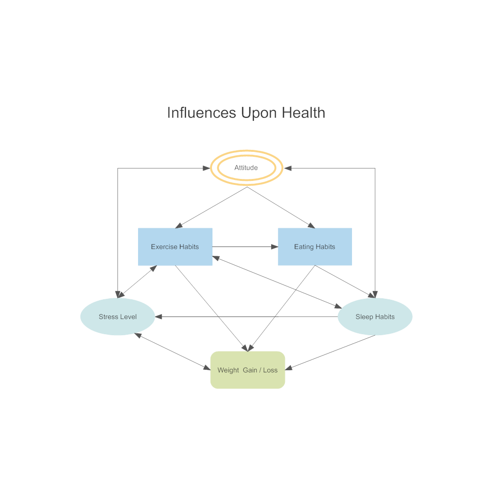 Example Image: Health Influence Diagram
