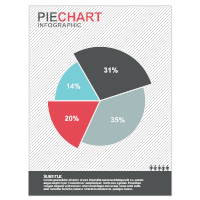 Pie Chart 03