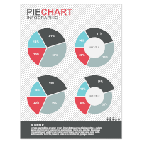 Pie Chart 05
