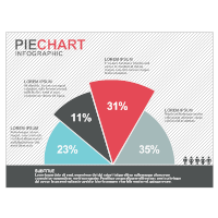 Pie Chart 06