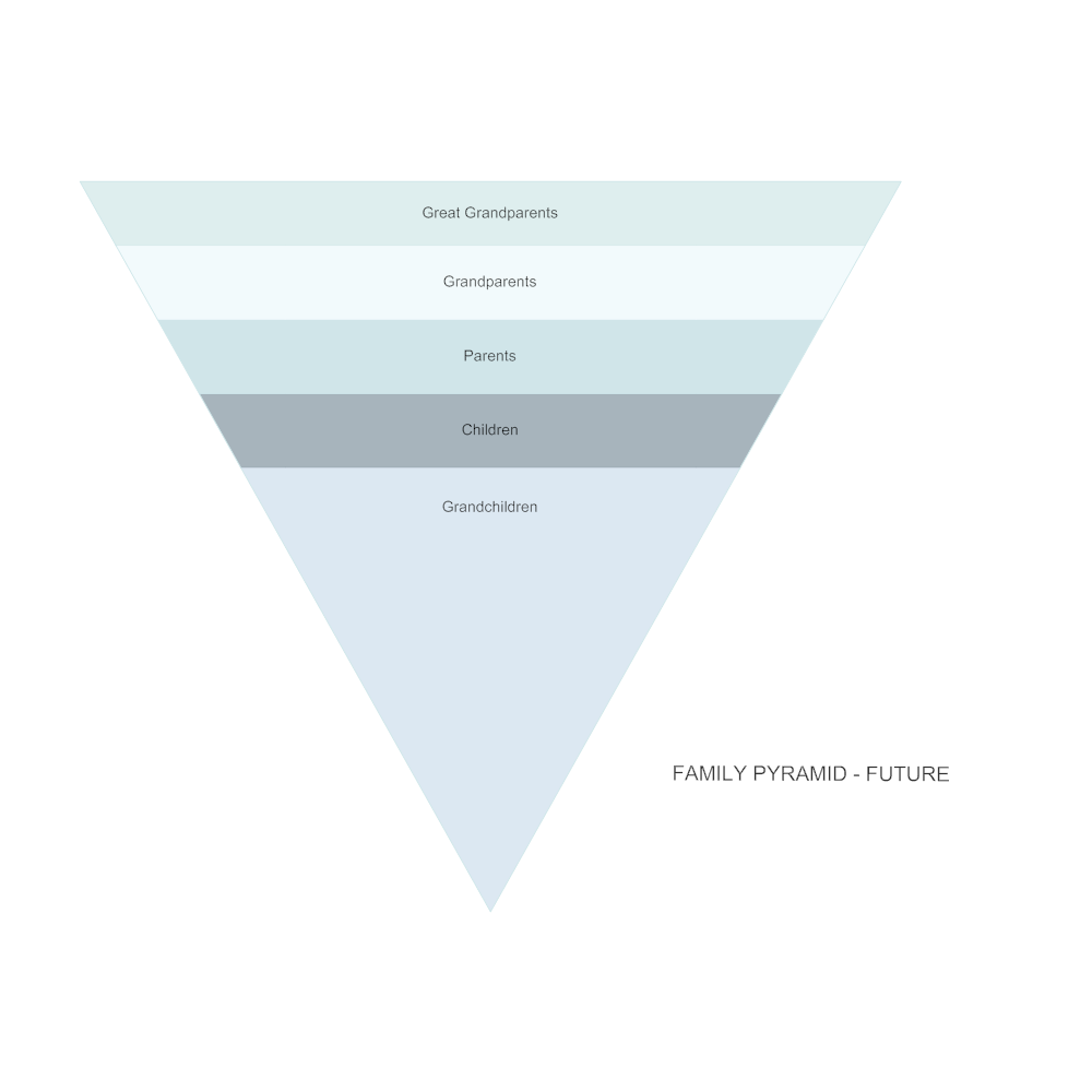 Example Image: Family Pyramid - Future