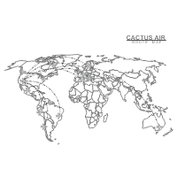 Airline Route Map
