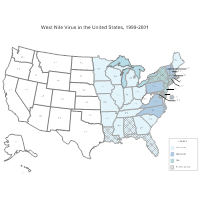 CDC USA Map