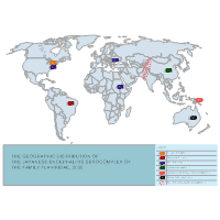 CDC World Map