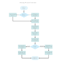 Therapy Process Overview Flowchart