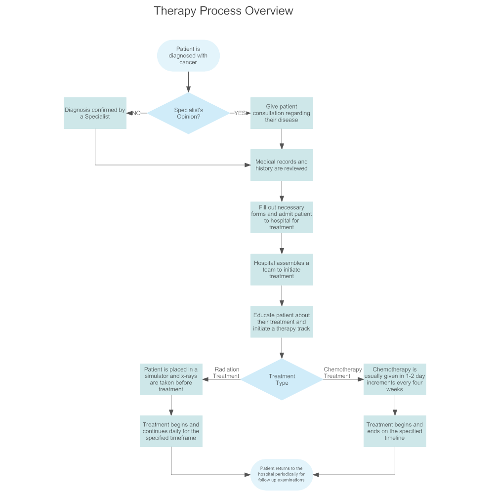 Example Image: Therapy Process Overview Flowchart