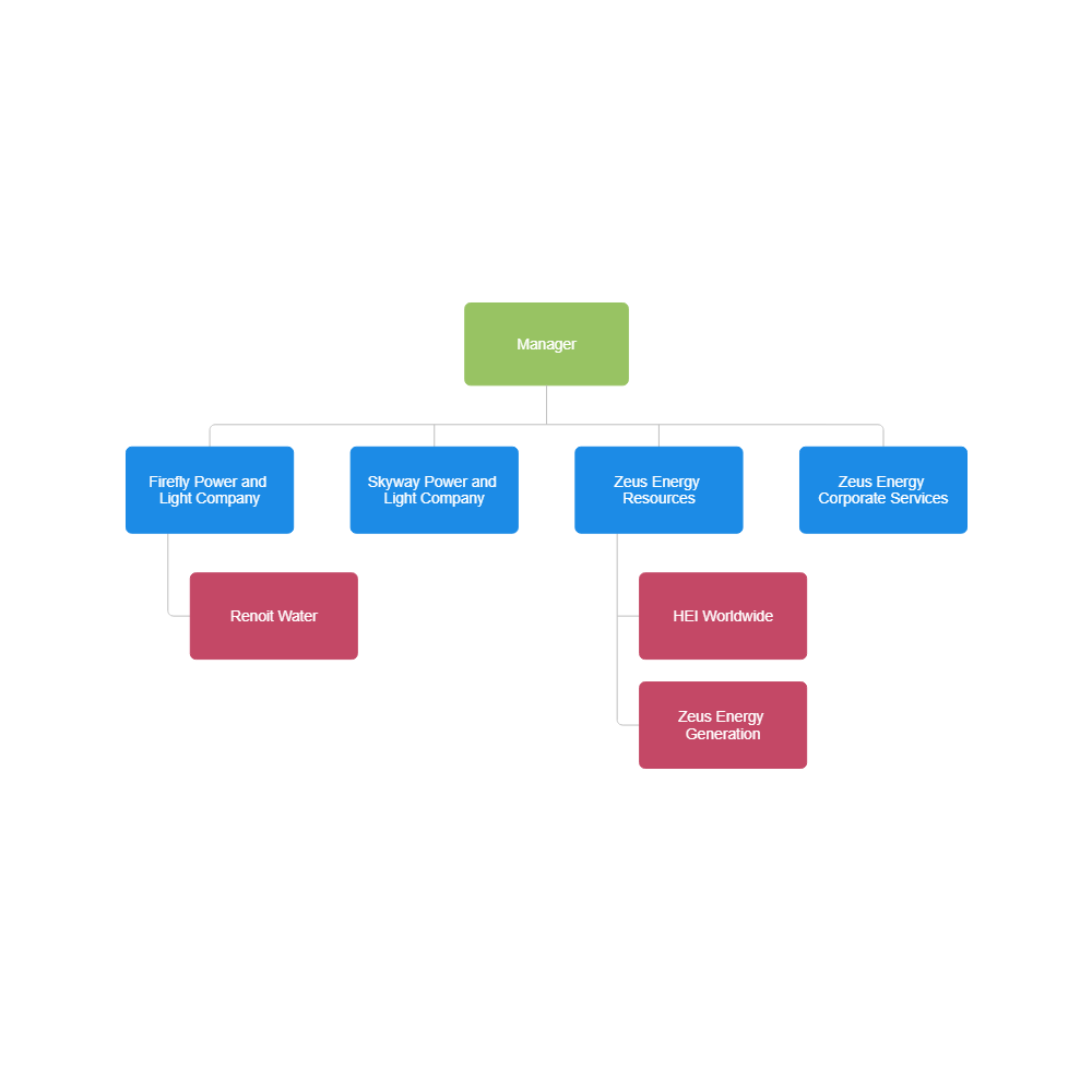 Corporate Structure Chart