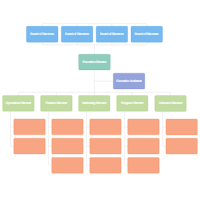 Non Profit Structure Organizational Chart