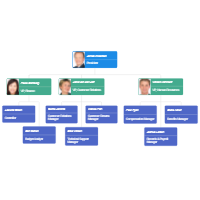 It Org Chart Examples