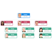 Organizational Chart Examples