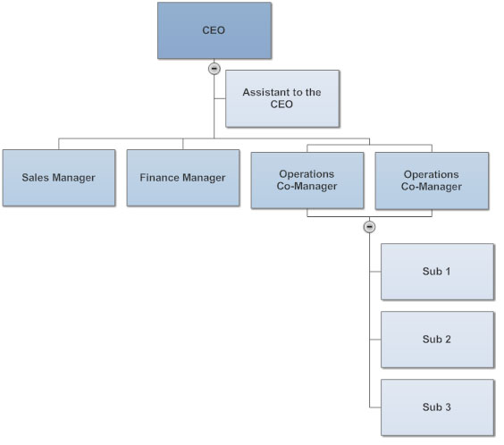 Ceo Organizational Chart