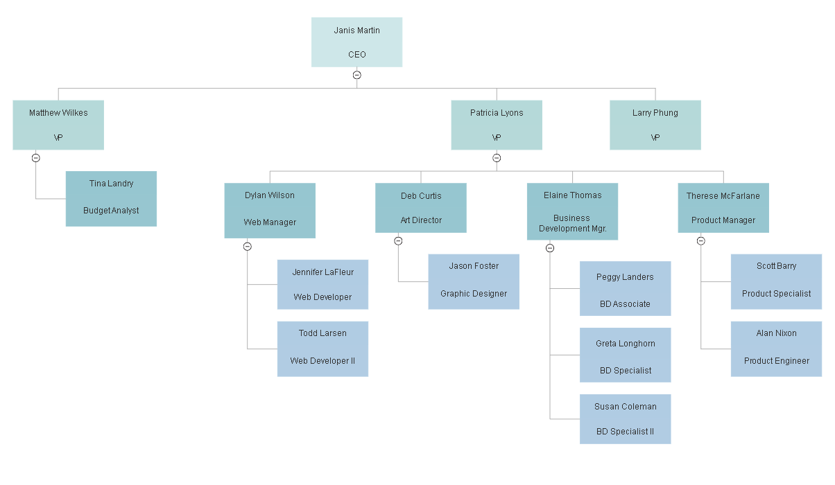 Organizational Chart Sample Format