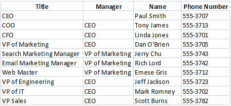 Ceo Coo Org Chart