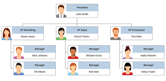 Four Types Of Organizational Charts Functional Top Down Flat Divisional And Matrix