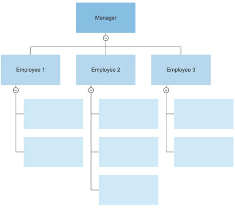 Explanation of Organizational Structure