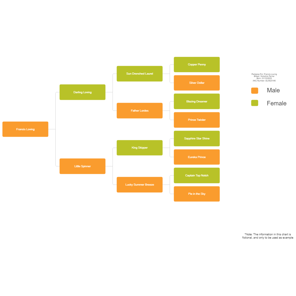 Create Your Own Pedigree Chart
