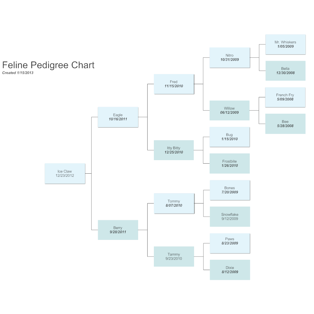 Example Image: Feline Pedigree Chart