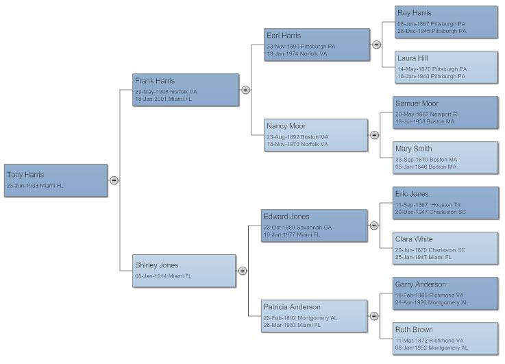 Pedigree Chart Learn Everything About Pedigree Charts