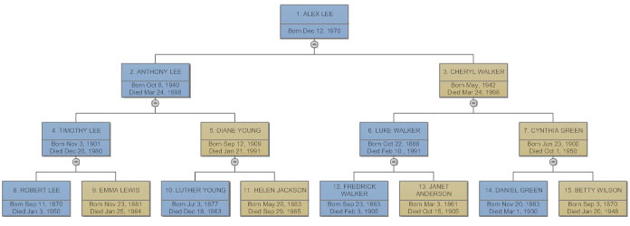 Basic pedigree chart
