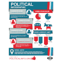 Political Infographic 3