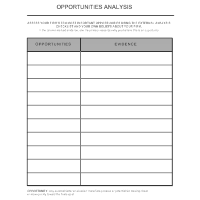 Opportunities Analysis