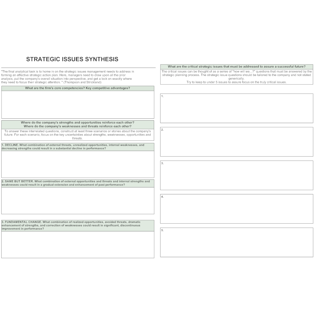 Example Image: Strategic Issues Synthesis