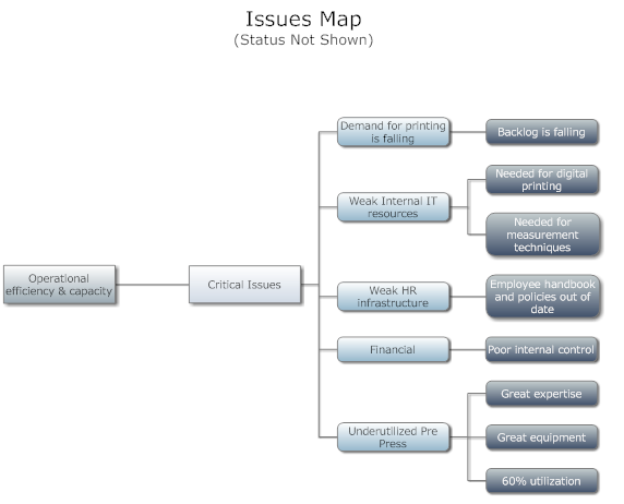 Strategic Plan Issues Map