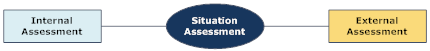 Strategic Planning Situation Assessment