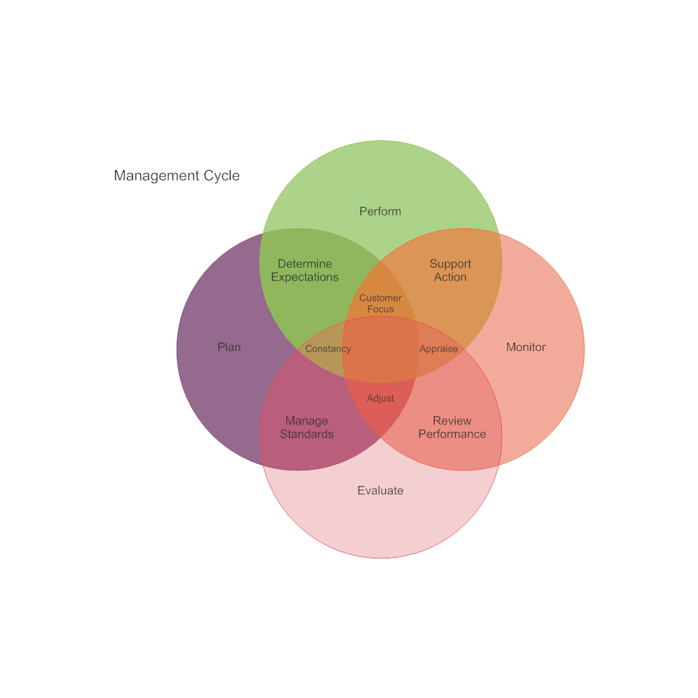 Example Image: Management Cycle